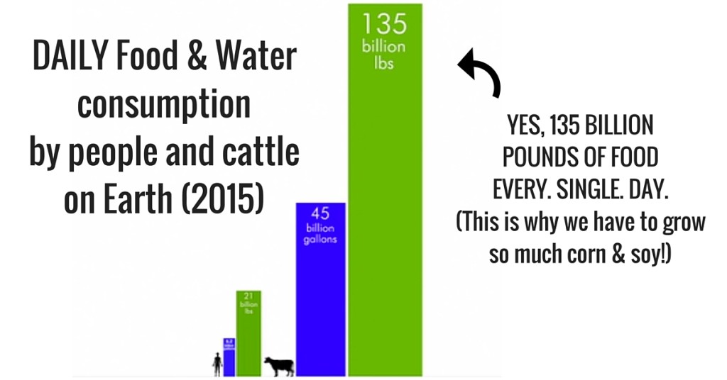 daily-food-waterconsumptionby-people-and-cattleon-earth-2015